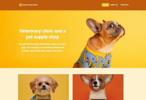 Health/Small Animal Clinic